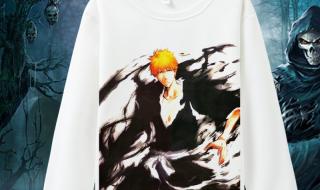 一护vs葛力姆乔 一护vs葛力姆乔