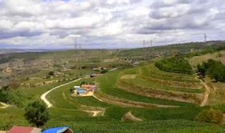 云飞云朵的歌 我的楼兰云朵原唱