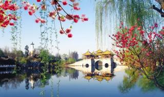 旗帜颂歌词 阎肃歌词歌曲精选