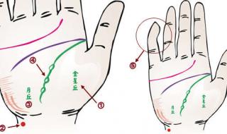 掌纹书籍推荐 掌纹看健康