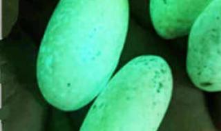 夜光石与夜明珠有何区别 萤石夜明珠