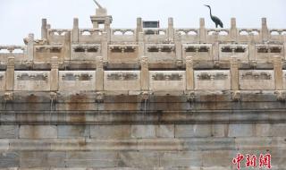 故宫九龙吐水景观再现 故宫九龙吐水景观再现