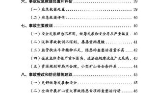 新井煤业有限公司 新井煤业有限公司