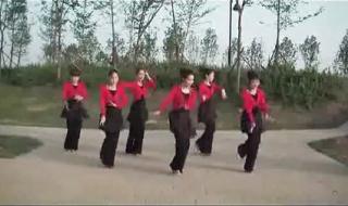 广场舞之最炫民族风