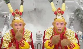 真假美猴王的故事情节 新西游记真假美猴王