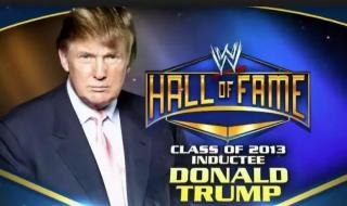 wwe善娜是哪国的 美国职业摔角wwe2013