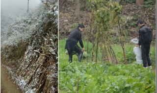 河南高速清雪口号 河南积雪已脚脖子深